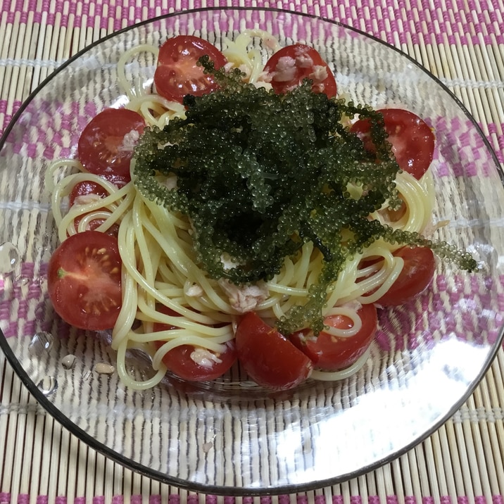 海ぶどうとシーチキンとミニトマトの冷製パスタ